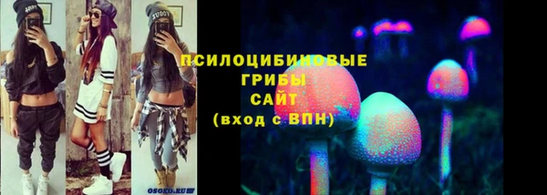 ешки Куйбышев