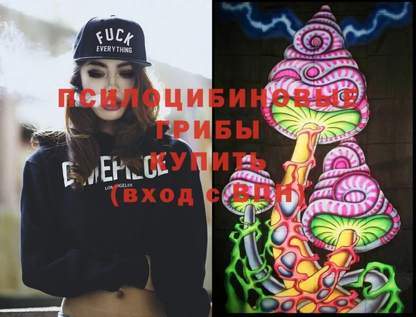 гашик Кукмор