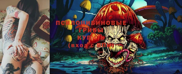 ешки Куйбышев