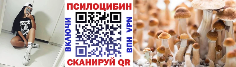 Купить  Трубчевск  Галлюциногенные грибы мухоморы 